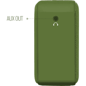 SAREGAMA Carvaan Mini Hindi  Bluetooth Speaker | Green