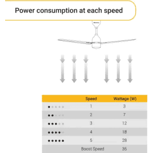 Atomberg Renesa 3 Blade Ceiling Fan | Metallic Gold