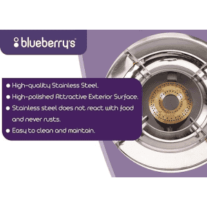 Blueberry's Blaze Full Stainless Steel Gas Stove | 3 Burner
