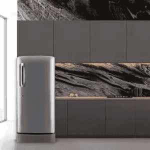 LG 205 L Direct Cool Single Door 5 Star Refrigerator | Smart Inverter Compressor | GL-D221APZZ | Shiny Steel