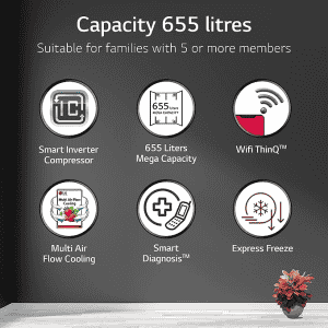 LG Side by Side Refrigerator with Smart Diagnosis | 655 L | GL-B257EESX | Ebony Sheen