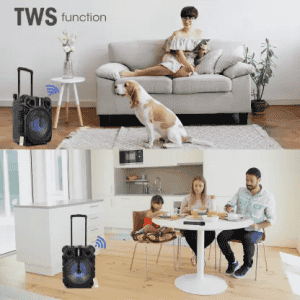 ZEBRONICS ZEB-TRX211 | TROLLEY SPEAKER WITH MIC