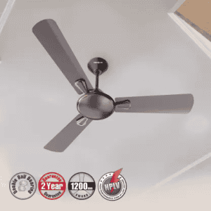 HAVELLS Festiva 1 star | 1200 mm | Espresso Brown