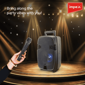 Impex Portable Speaker TS 2020 With Wireless Mic | Black