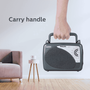 Philips Bahadur Radio | MW SW FM Bands | Grey | DL167/94