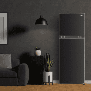 LG Frost Free Double Door 3 Star Convertible Refrigerator | 246 L | with Inverter Compressor | Ebony sheen | GL S262SESX