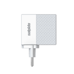 Salpido C to C Super Fast Charging Adapter | 65 W | GD WC07