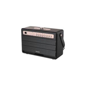 Aiwa MI-X 450 Pro ENIGMA 120 Watts Portable Bluetooth Speaker | Green Amplifier Technology | Rose Gold Black