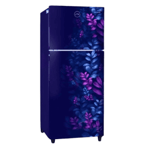 Godrej Frost Free Double Door Refrigerator | RT EONALPHA 270B 25 RI |253 Litre | 2 Star | Aria Blue