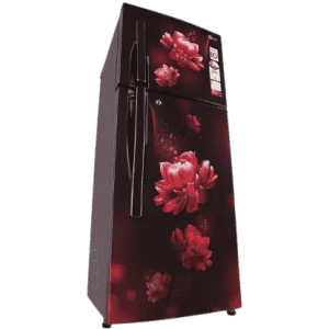 LG 260 L Direct Cool Double Door 2 Star Refrigerator  | GL-S292RSCY |  Scarlet Charm |