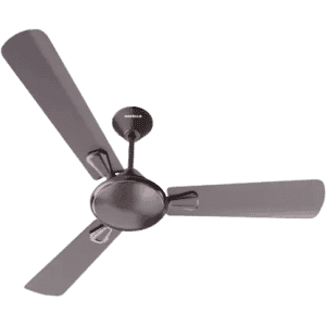 HAVELLS Festiva 1 star | 1200 mm | Espresso Brown