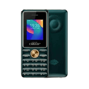SAREGAMA Carvaan Mobile Malayalam M11 | Emerald Green
